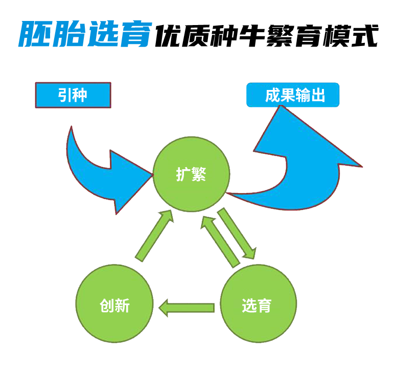 九游会